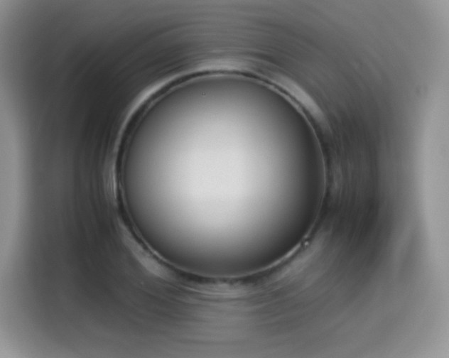 X0000115300980200911091009