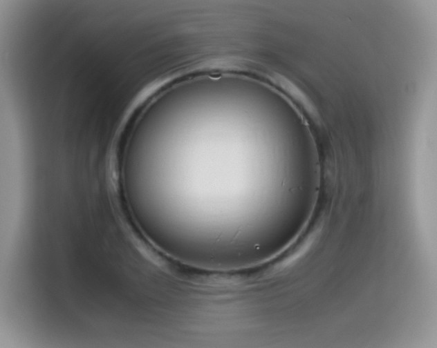 X0000115300981200911091009