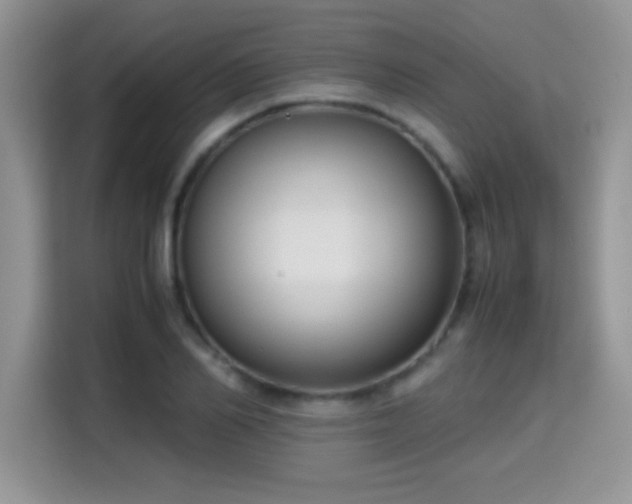 X0000115300982200911091008
