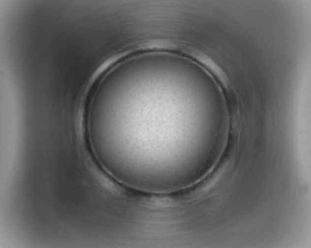 X0000115300983200911091008