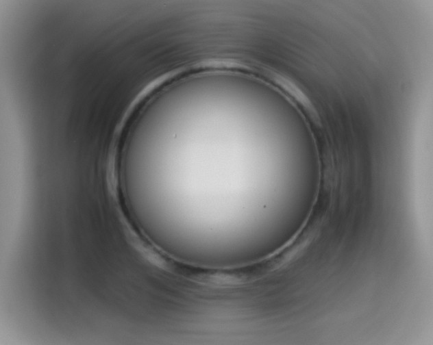 X0000115300984200911091008
