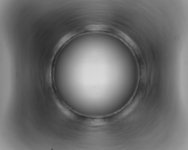 X0000115300986200911091008
