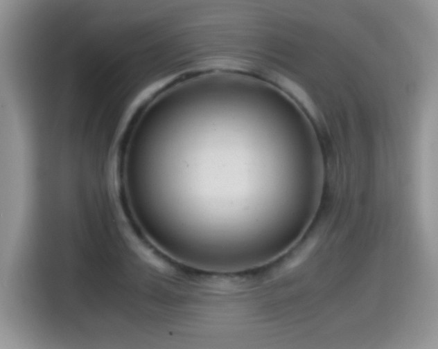 X0000115300987200911091008