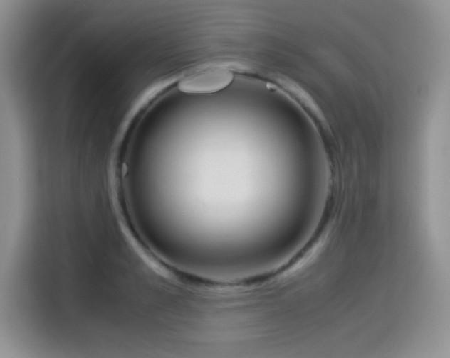 X0000115300989200911091008