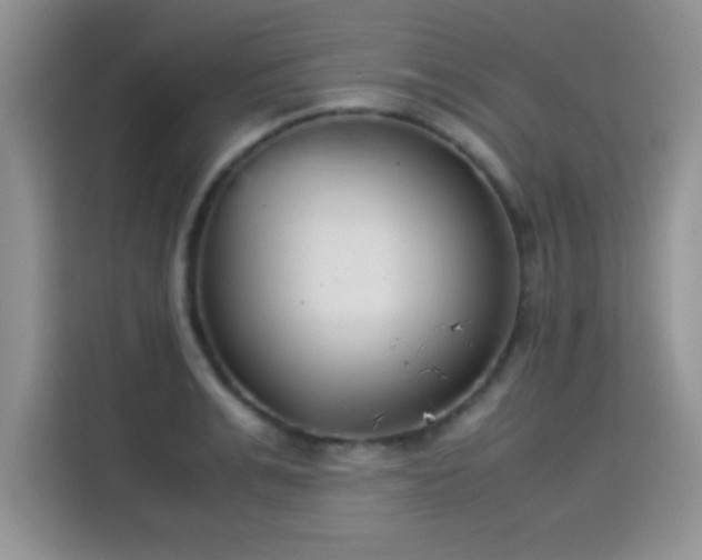 X0000115300991200911091008
