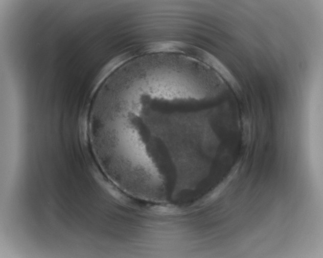 X0000115300994200911091008