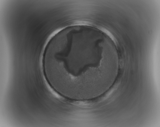 X0000115300995200911091008