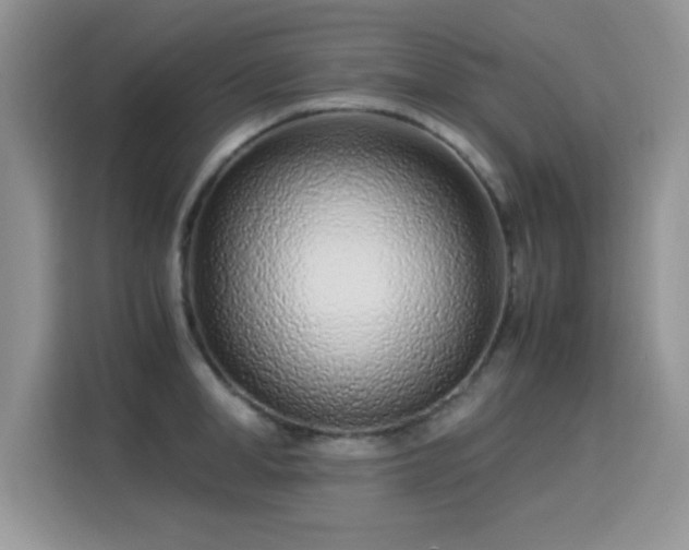 X0000115300998200911091008