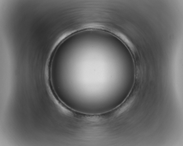 X0000115300999200911091008