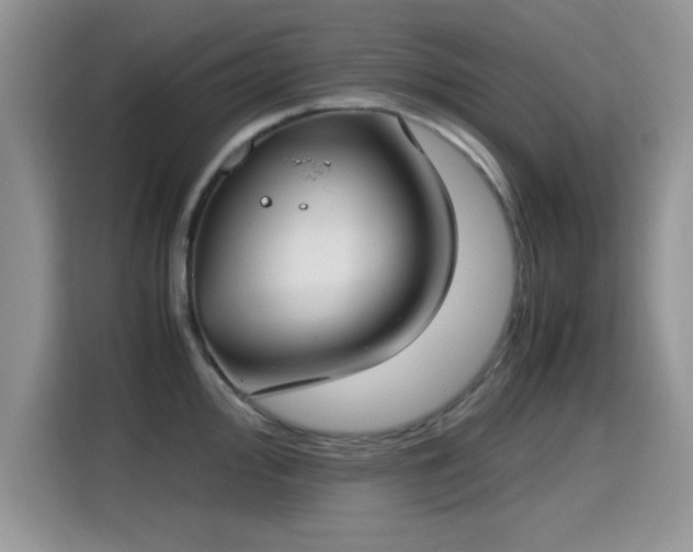 X0000115301000200911091008