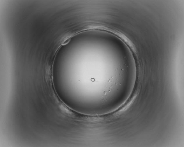 X0000115301001200911091008