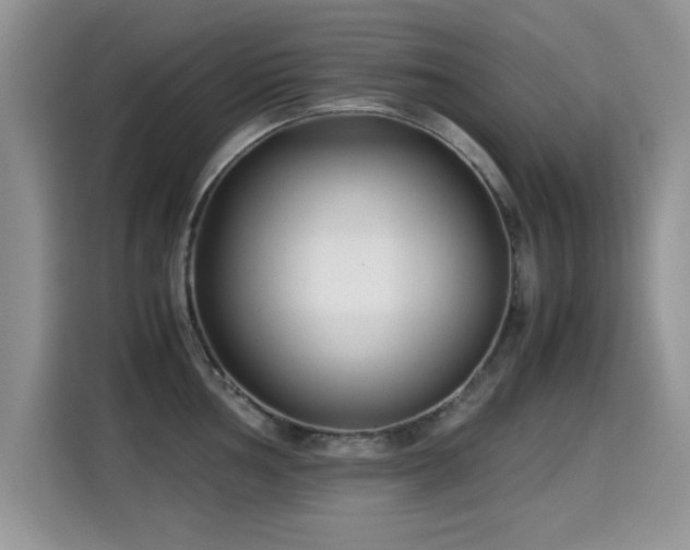 X0000115301002200911091008