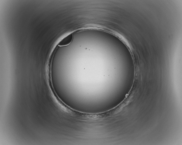 X0000115301003200911091008