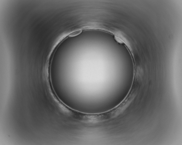 X0000115301005200911091008