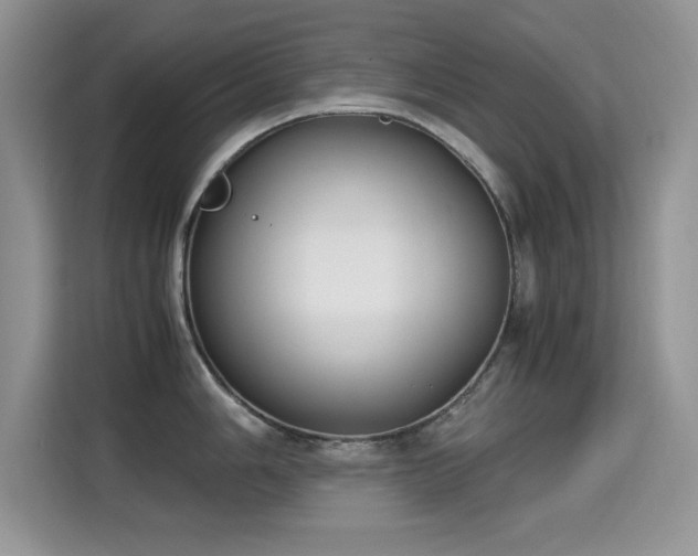 X0000115301006200911091008