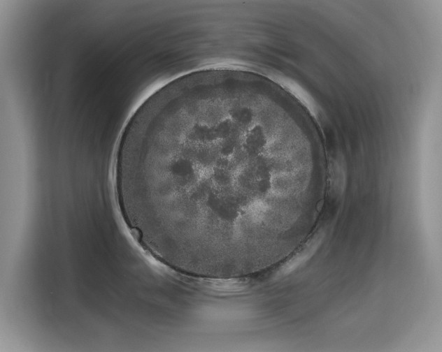 X0000115301007200911091008