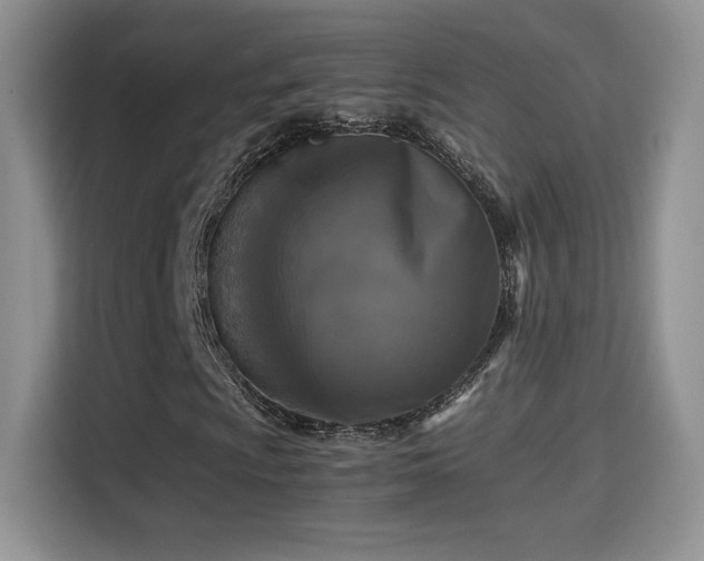 X0000115301009200911091008