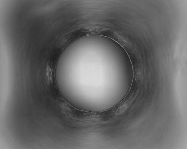 X0000115301010200911091008