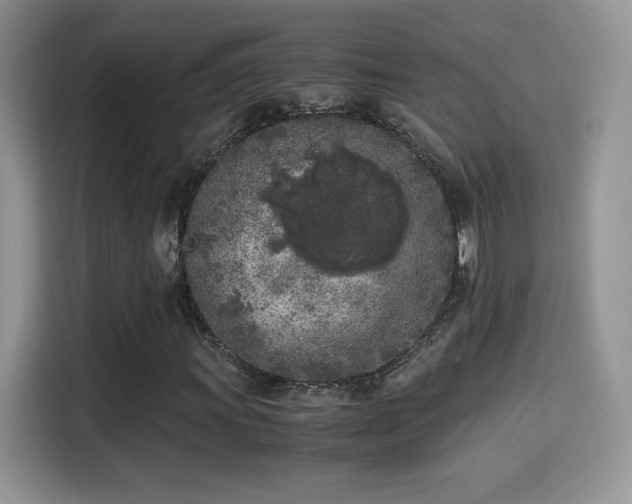 X0000115301011200911091008