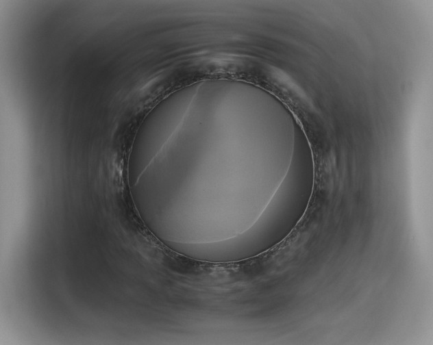 X0000115301013200911091008