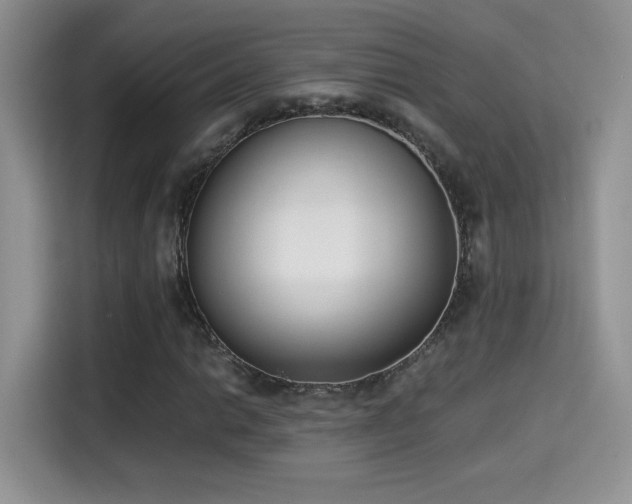 X0000115301014200911091008