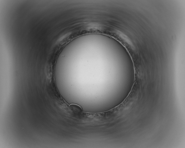 X0000115301015200911091008