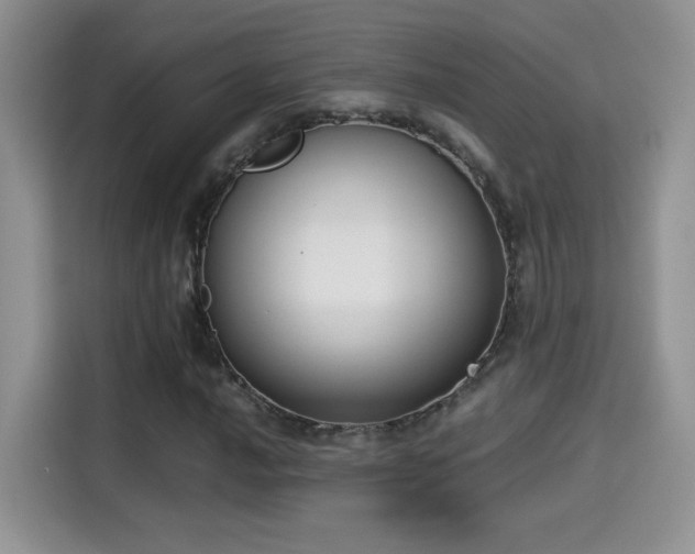 X0000115301016200911091008