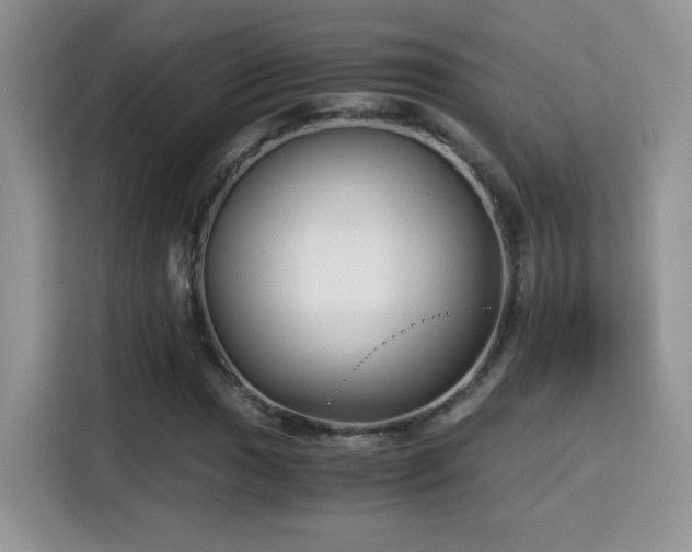 X0000115301017200911091008