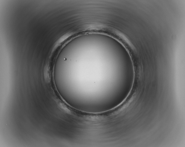 X0000115301018200911091008