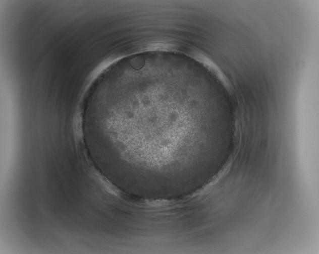 X0000115301019200911091008