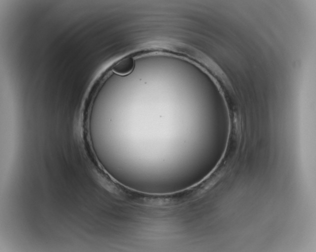 X0000115301020200911091008