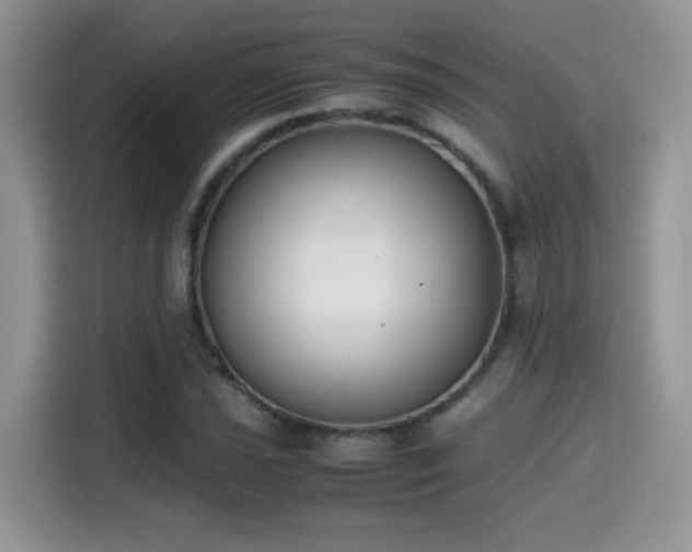 X0000115301021200911091008