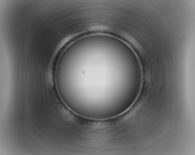 X0000115301022200911091008
