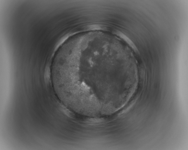 X0000115301023200911091008