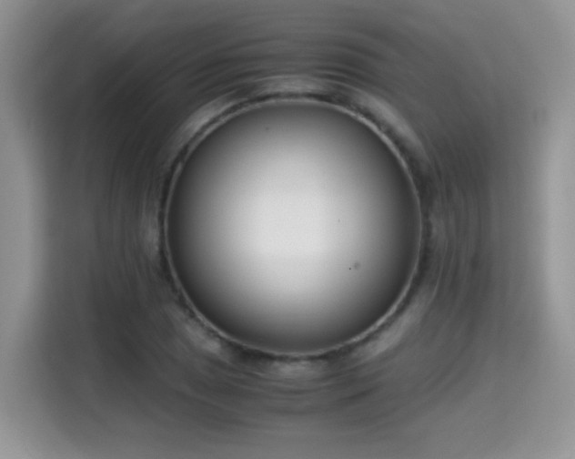 X0000115301025200911091008