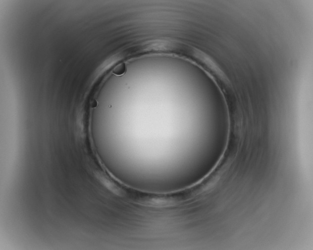 X0000115301026200911091008