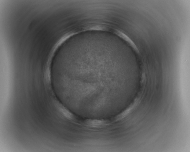 X0000115301027200911091008