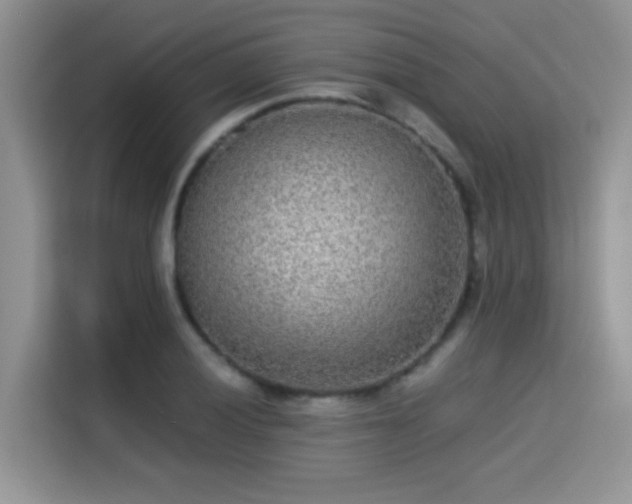 X0000115301028200911091008