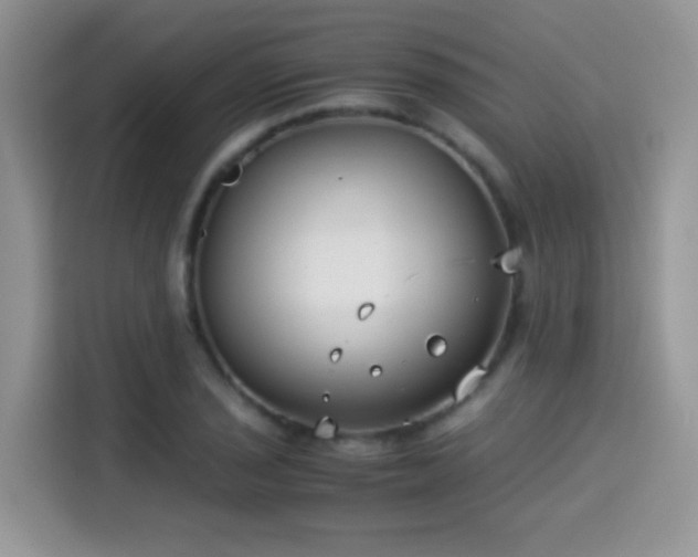 X0000115301029200911091008