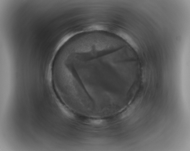 X0000115301031200911091008