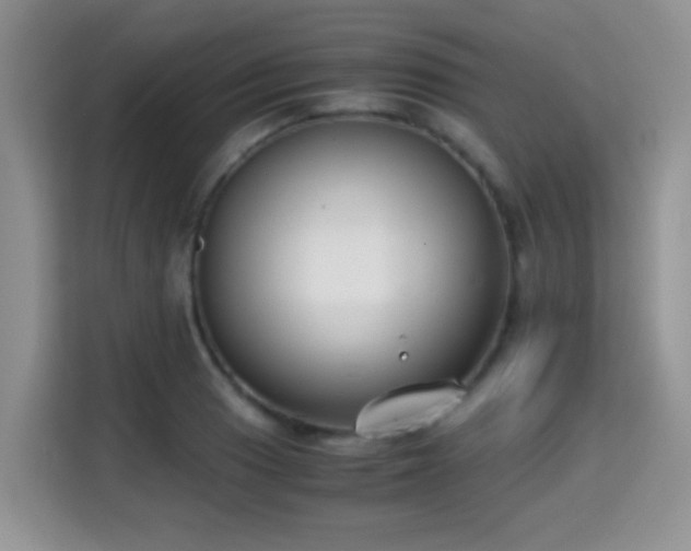 X0000115301033200911091008