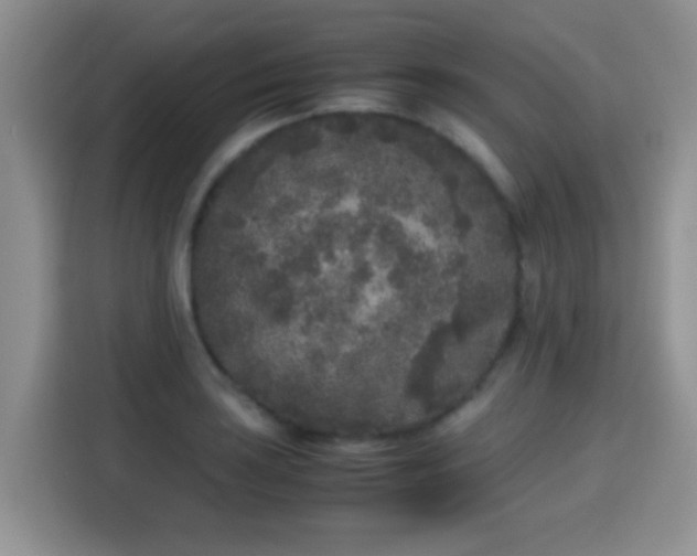 X0000115301035200911091008