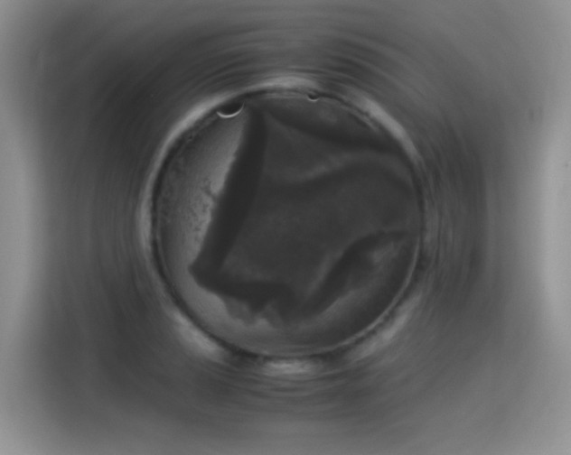 X0000115301037200911091008