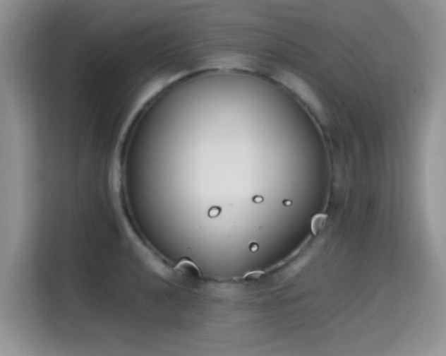 X0000115301040200911091008