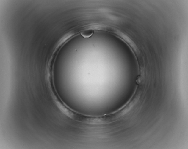 X0000115301042200911091008
