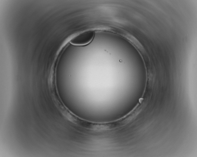 X0000115301044200911091008