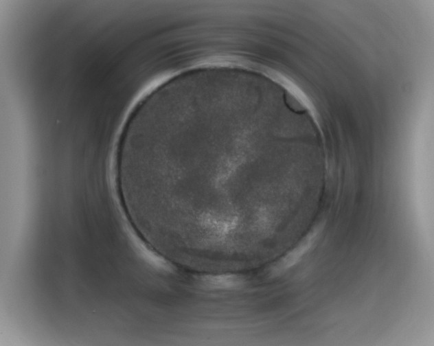 X0000115301045200911091008
