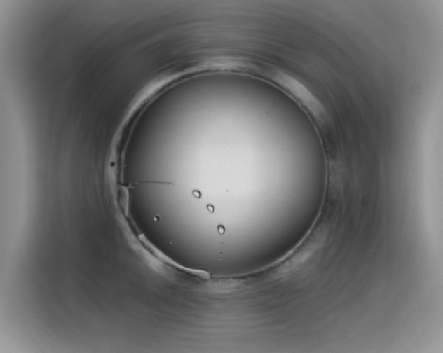 X0000115301046200911091008