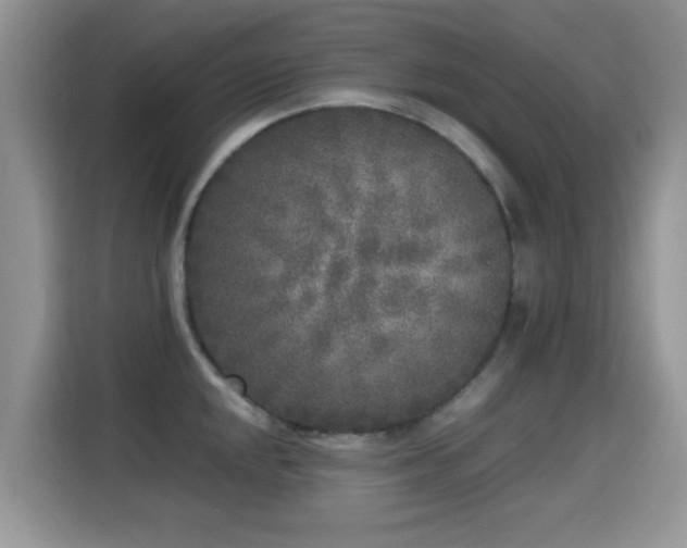 X0000115301048200911091008
