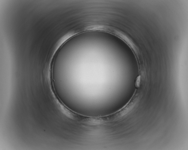 X0000115301050200911091008
